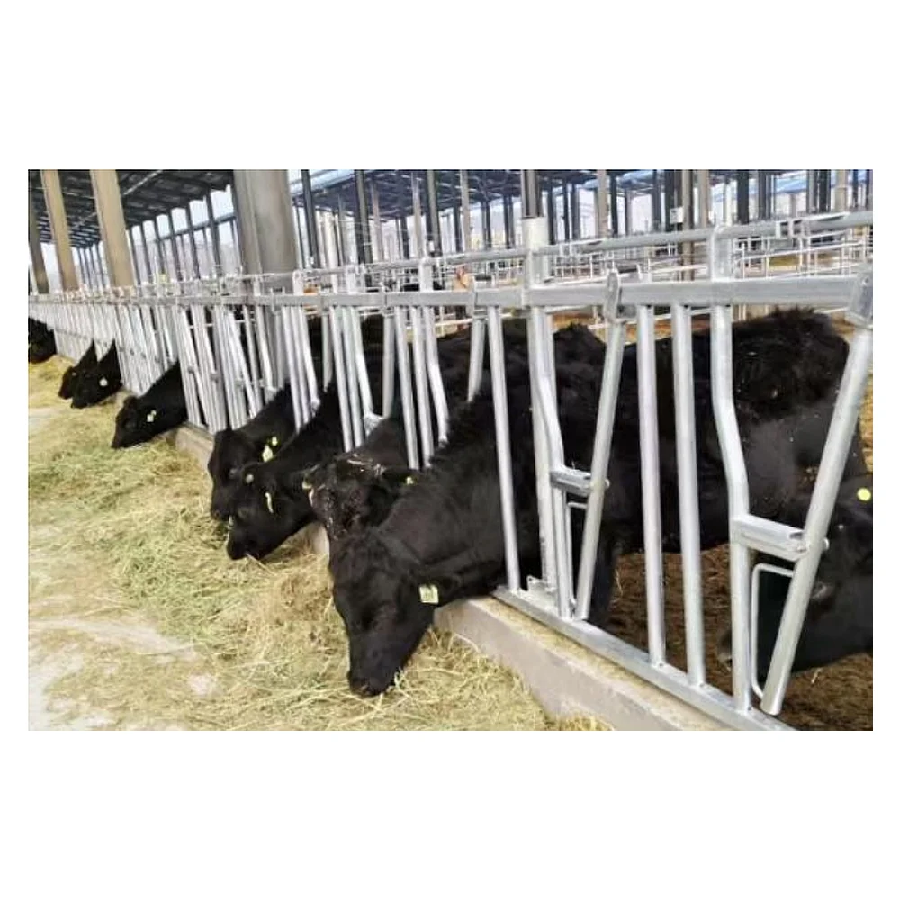 Reinforced Galvanized Cattle Headlock Fence (Reinforced) 3m 4-position Single Opening Cattle Headlock | Livestock Farm
