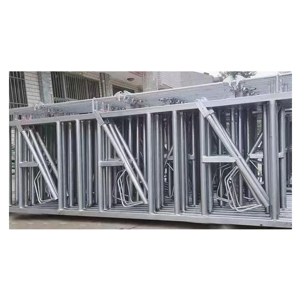 Reinforced Galvanized Cattle Headlock Fence (Reinforced) 6m 6-position Single Opening Cattle Headlock | Livestock Farm