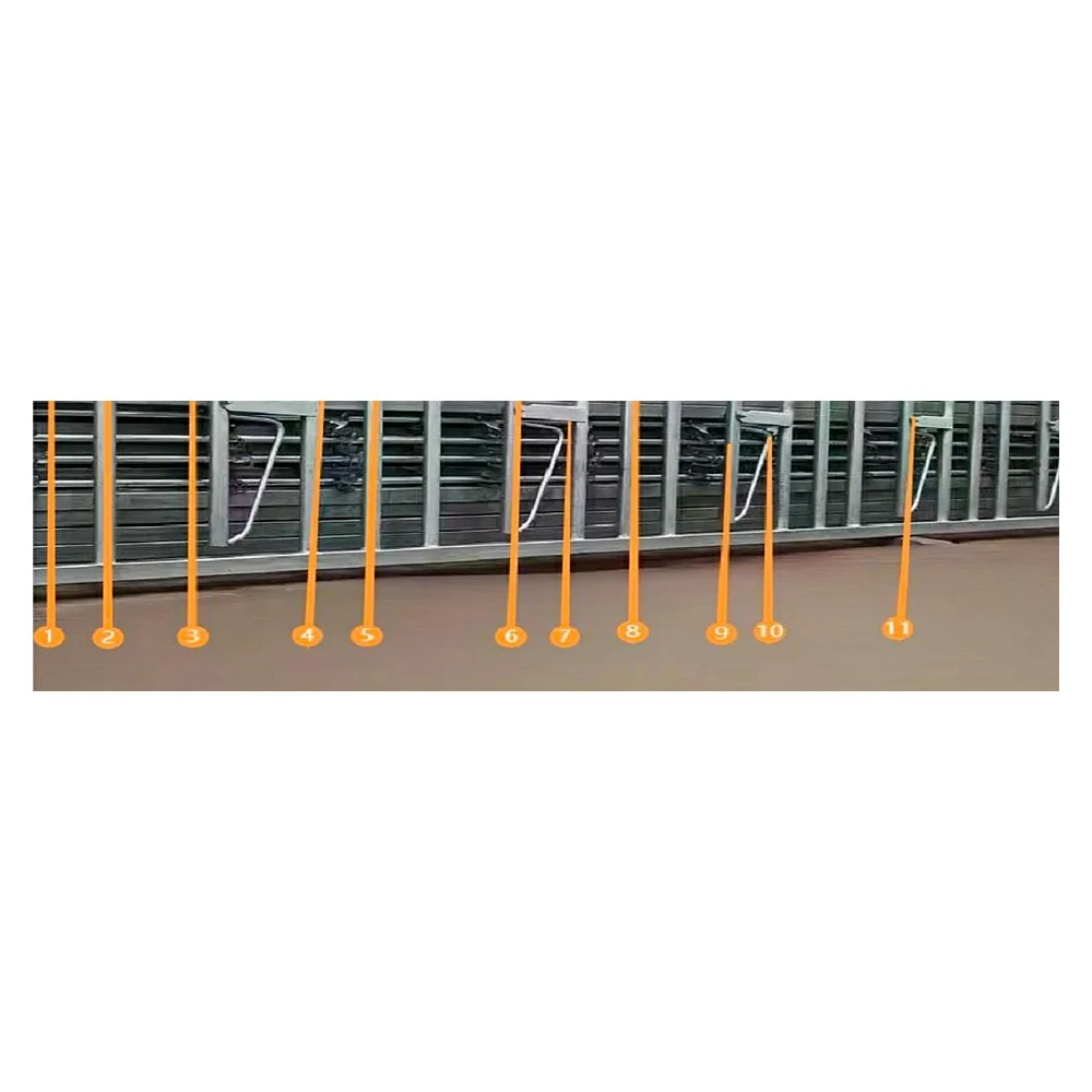 Reinforced Galvanized Cattle Headlock Fence (Reinforced) 6m 8-position Single Opening Cattle Headlock | Livestock Farm