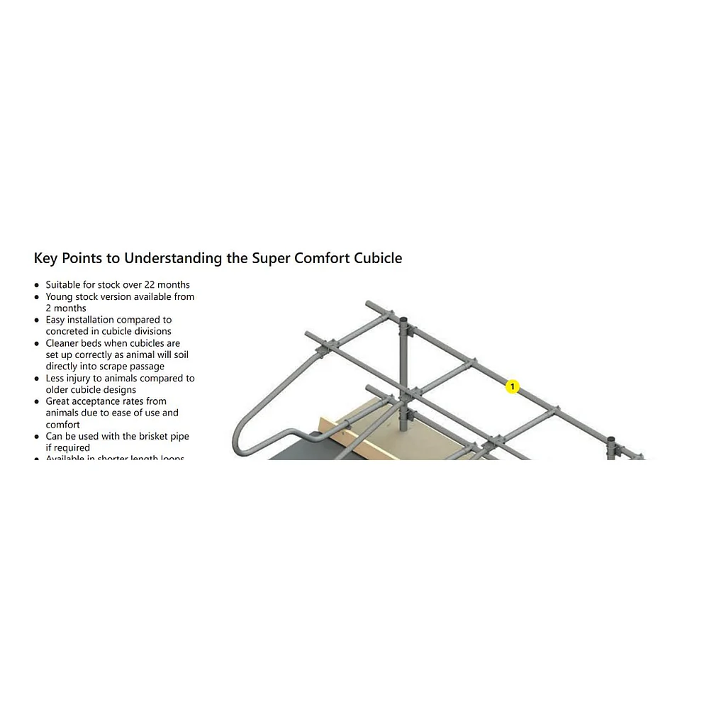 Reinforced Galvanized Cattle Headlock Fence (Reinforced) 6m 10-position Cattle Headlock for Calves | Livestock Farm
