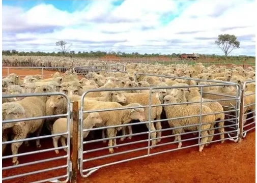 Galvanized Sheep Yard Panel Portable Sheep Holding Yard | Livestock Fence Panel