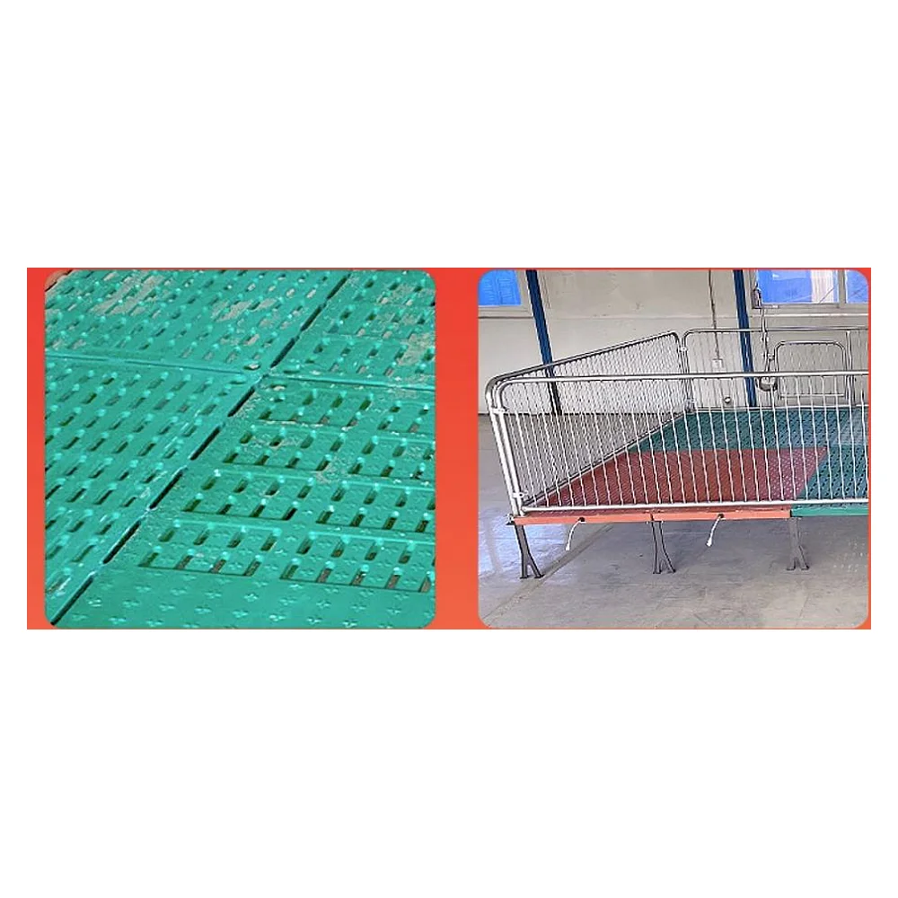 Infrared Heating Lamp | Pig Farrowing & Nursery Equipment